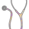 Watercolor Stethoscope (1).png