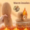 Plush Fluffy Insoles, Soft Thick Warm Imitation Rabbit Fur Winter Shoe Accessories for Men & Women, Cozy Comfort Insole