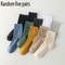 High Quality Cotton Men Socks Pack Lightweight Breathable Sock Set Durable Black Ankle Short Socks 6