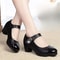 Fashion Spring Autumn New Pointed Head Square Heel Shoes Comfortable Solid Color Sexy Casual Womens Banquet Footwear