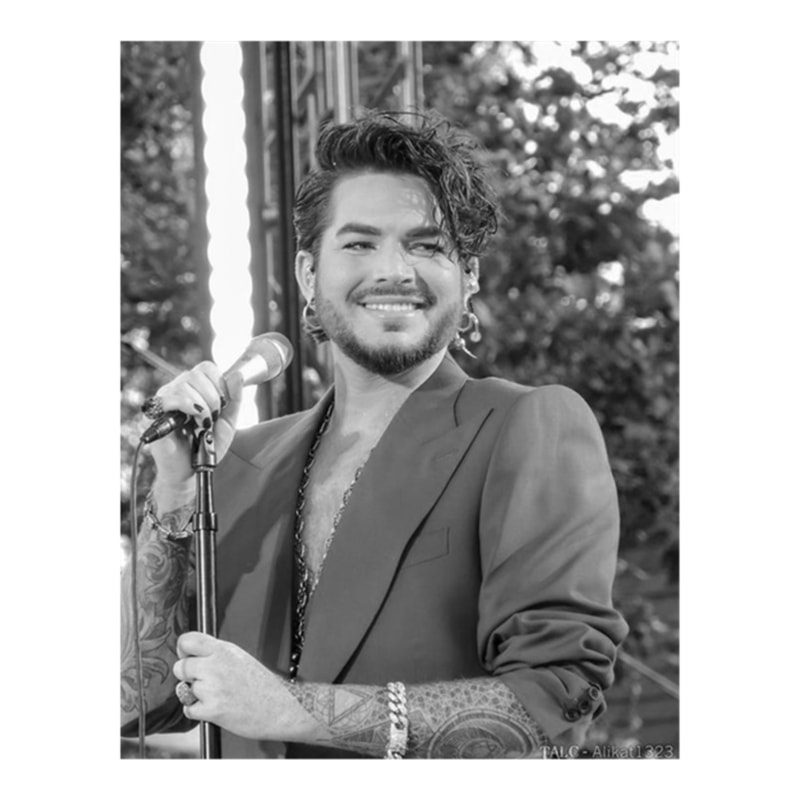 Smile Adam In Concert .png