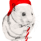 CHRISTMAS HAMSTER .png