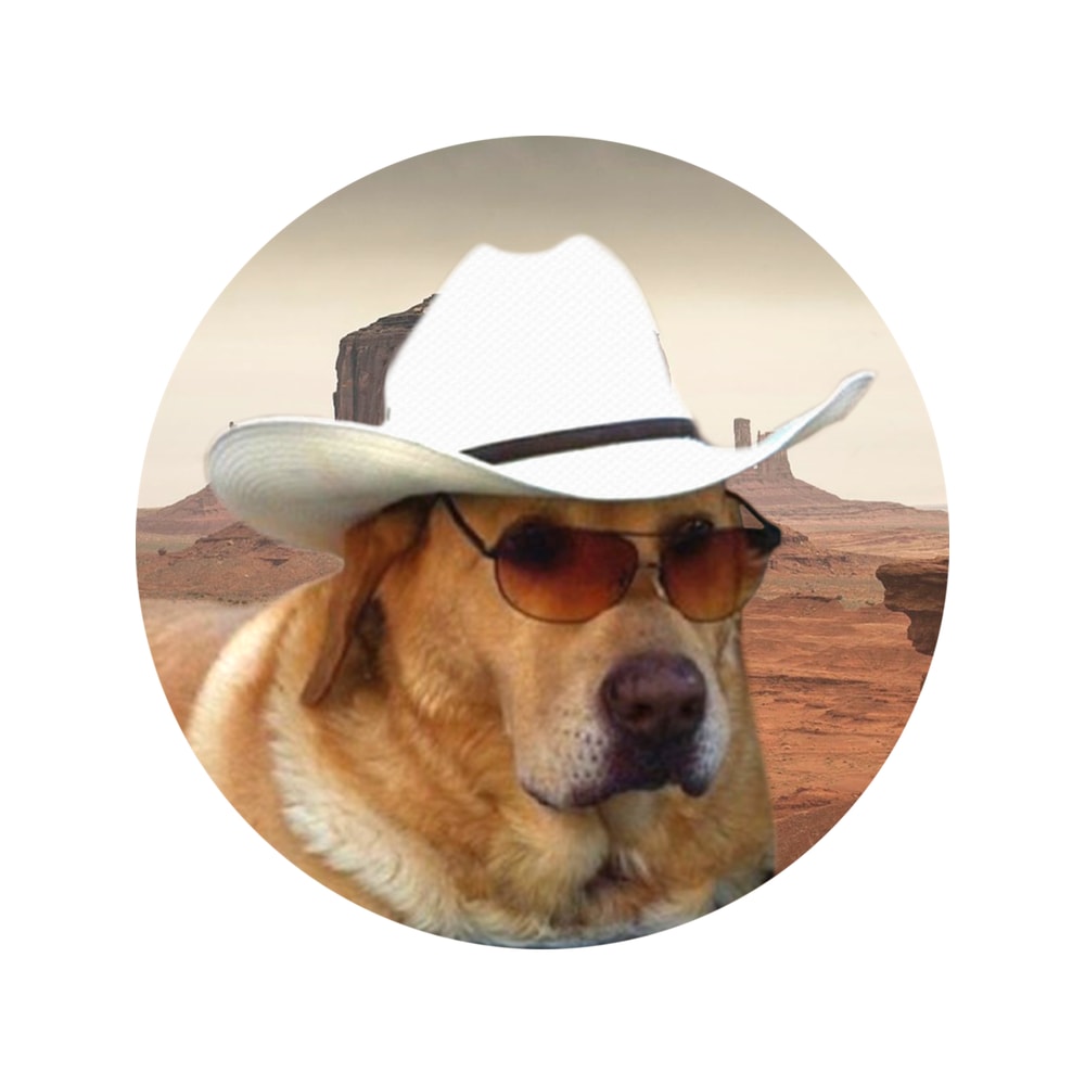 Doggo s Cowboy .png