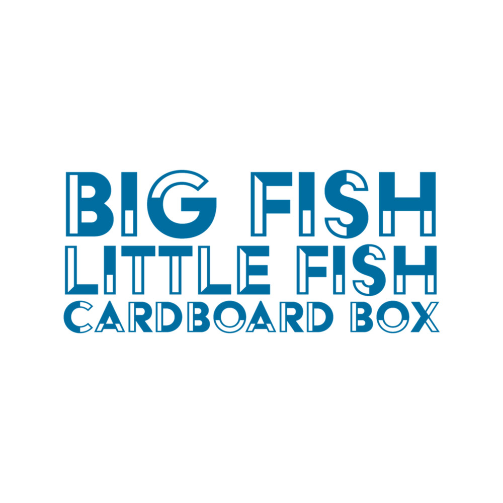 Big Fish Little Fish Cardboard Box .png