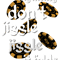 My Money Don't Jiggle Jiggle It Folds (4).png