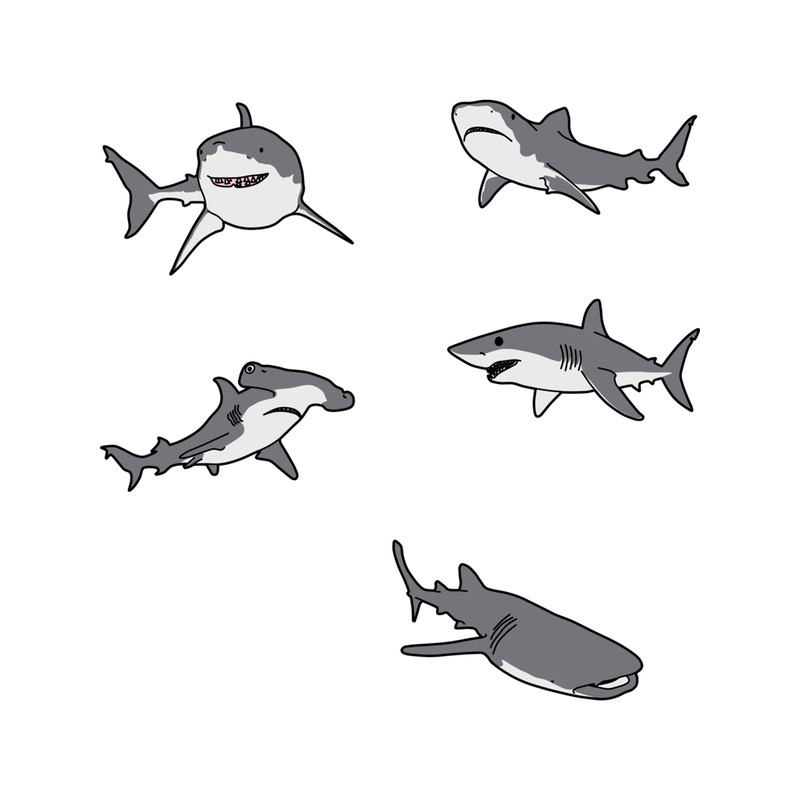shark pack .png