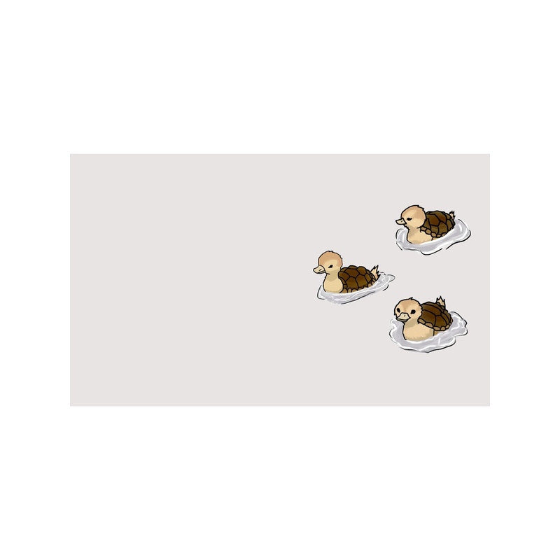 Turtle Ducks Mug.png