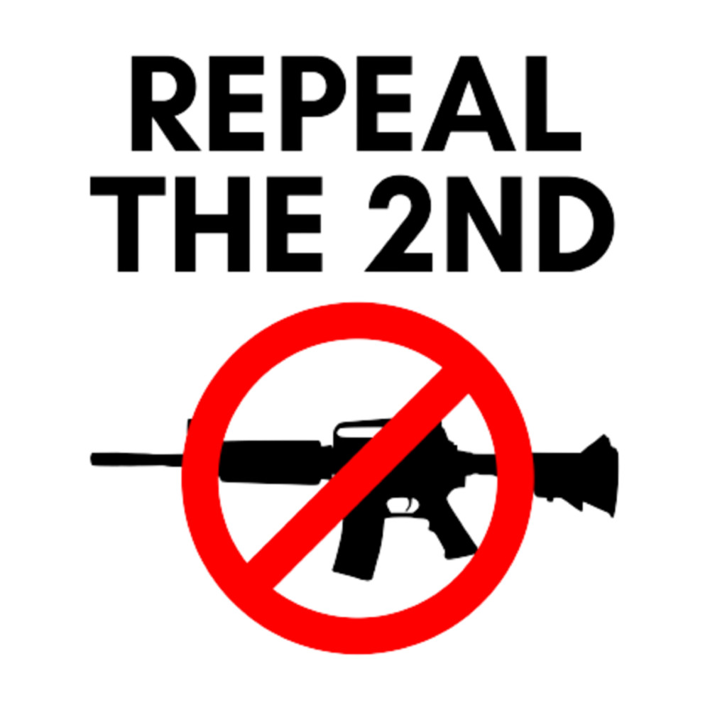 Repeal The Second Amendment .png