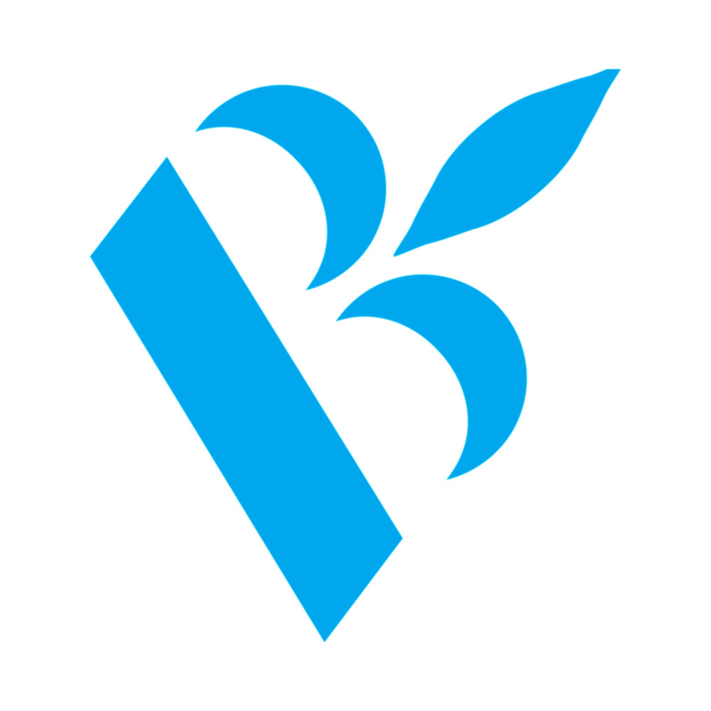 Bloc Party logo .png