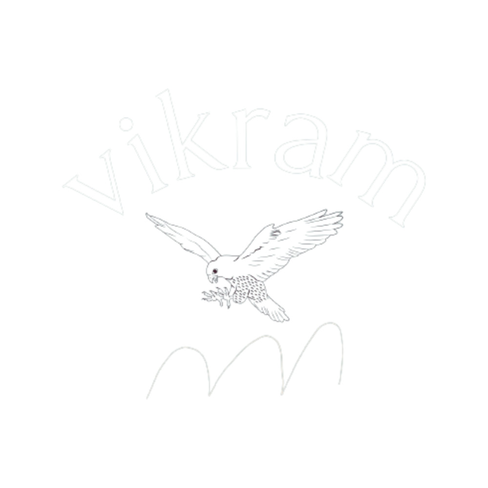 Vikram a Vikram .png