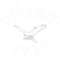 Vikram a Vikram .png