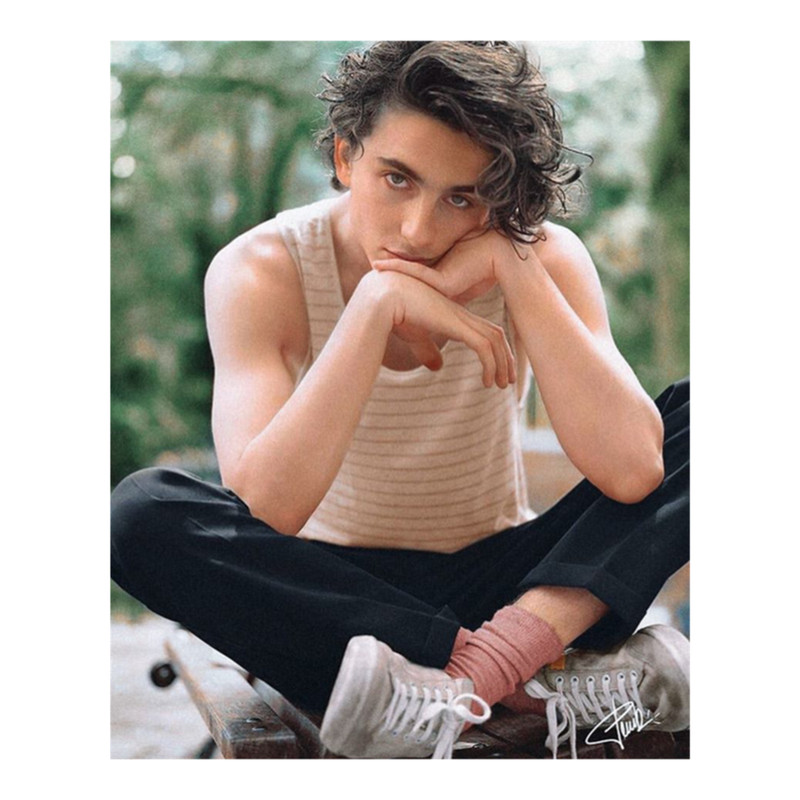 Timothee Chalamet .png