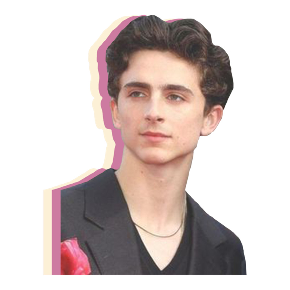 Timothee chalamet .png