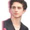 Timothee chalamet .png