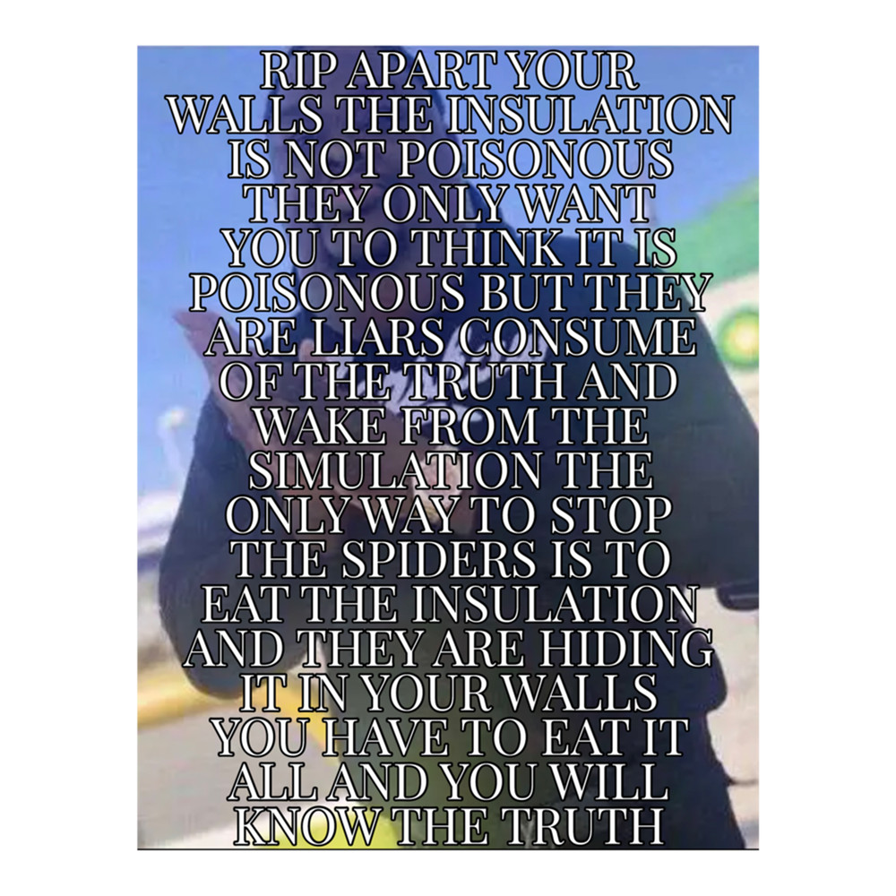 INSULATION IS THE FOOD Long .png