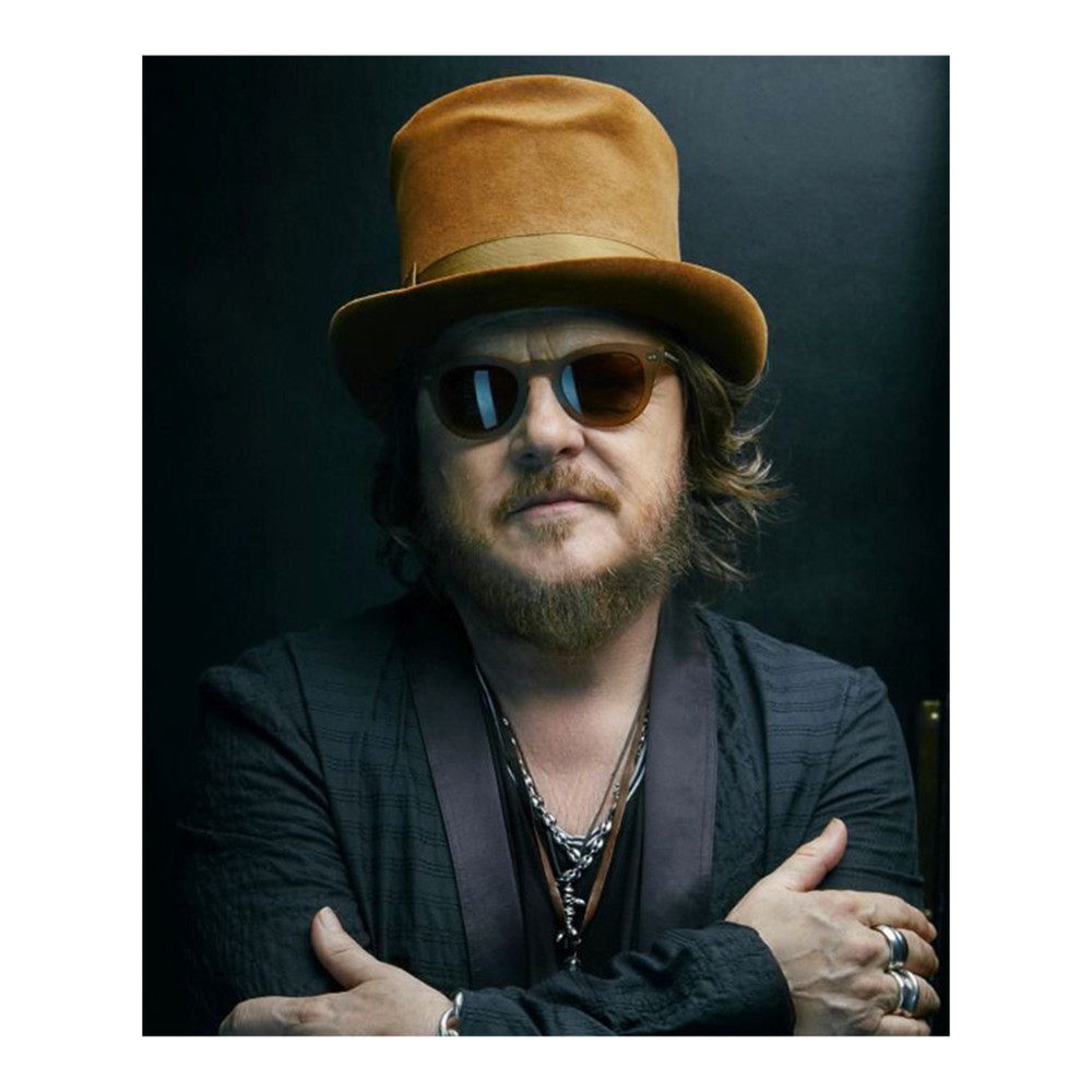 zucchero (8).png