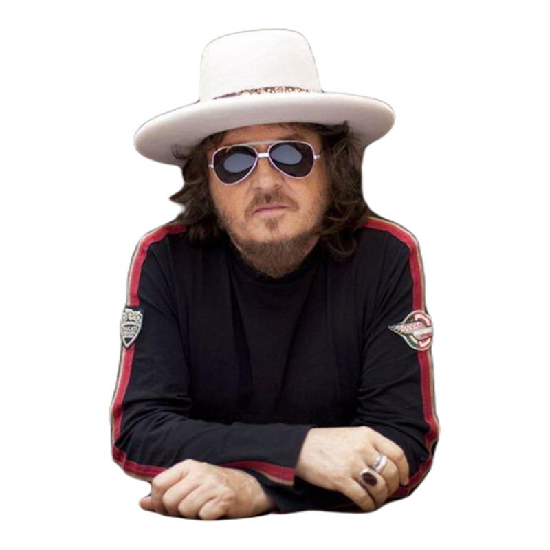 Zucchero black cat .png