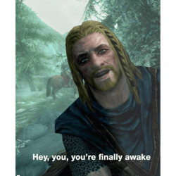 hey you you're finally awakeskyrim meme(1)