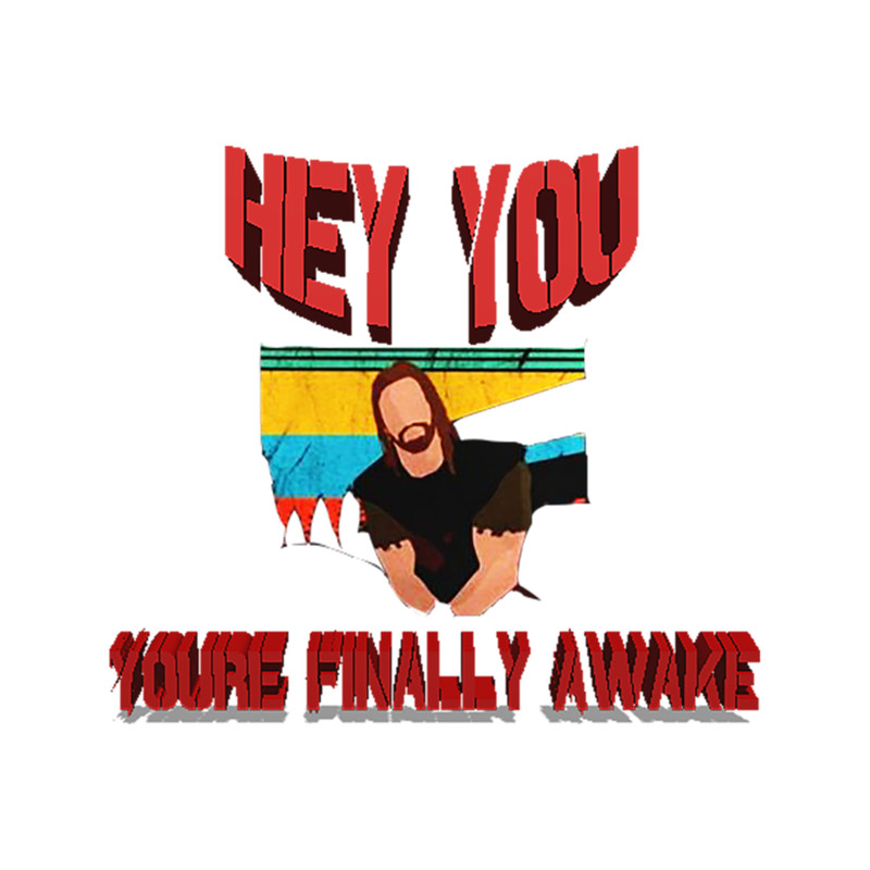You're Finally Awake (1).png