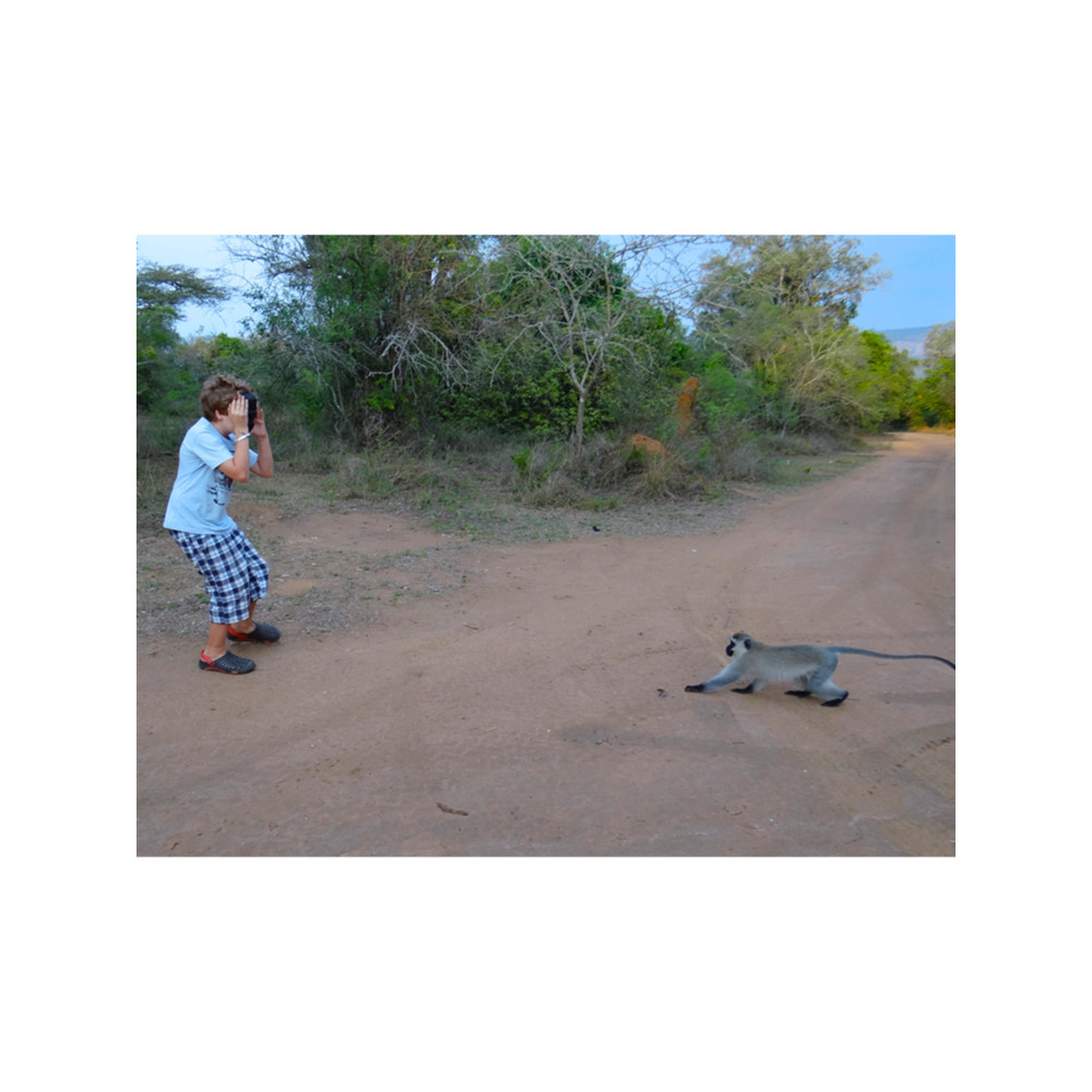 Monkeying Around .png