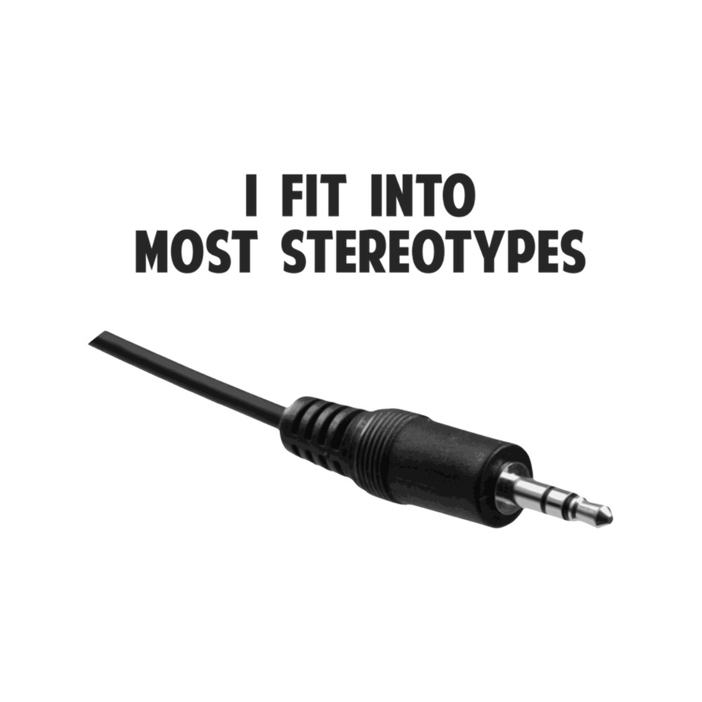 I Fit Into Most Stereotypes .png