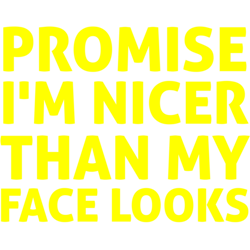 promise i'm nicer than my face looks, gift idea, funny saying