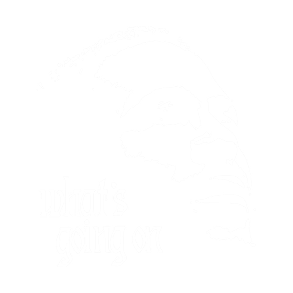 Gift Idea Marvin Gaye What's going On .png