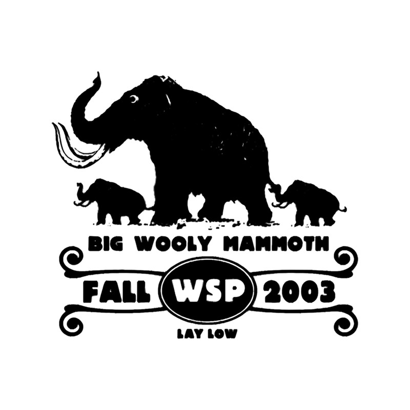 Widespread Panic .png