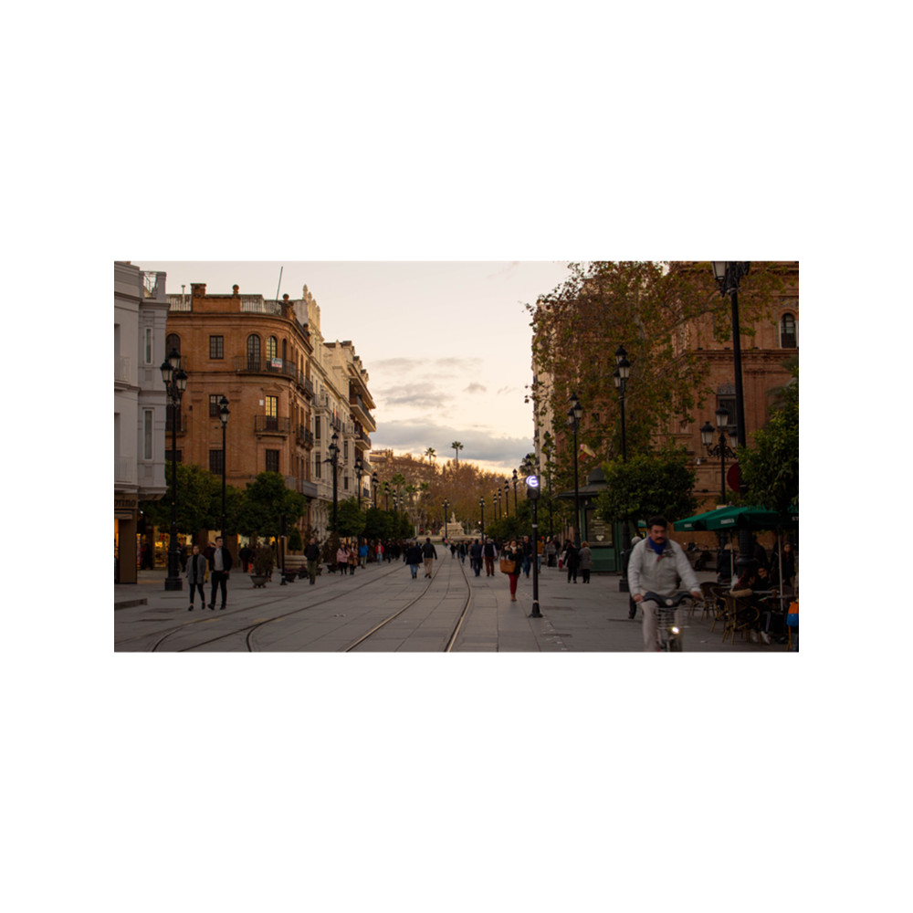 Seville Gate of Jerez .png