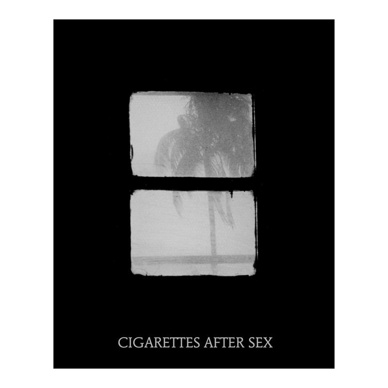 Windows in Dark Graphic .png