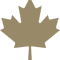 Maple Leaf - Drake Gold .png