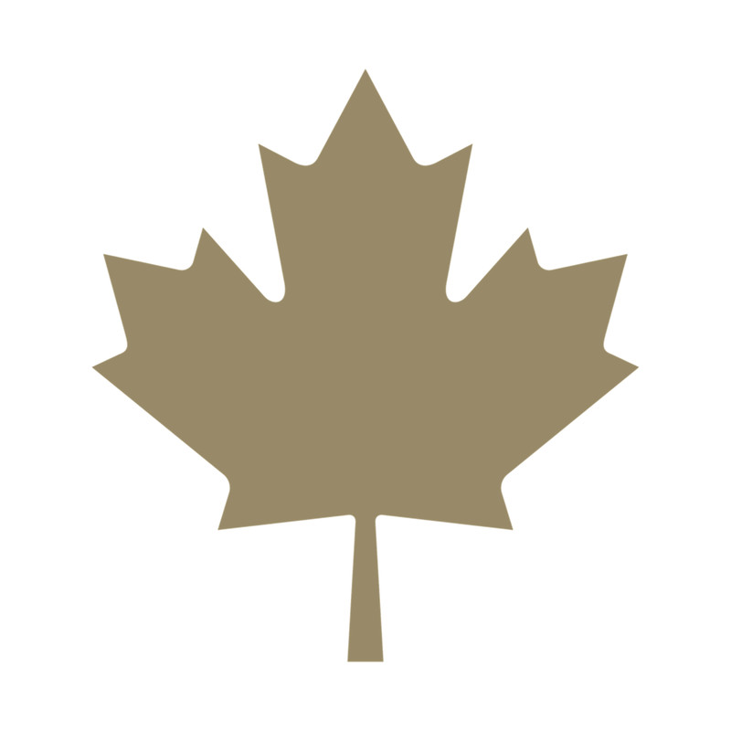 Maple Leaf - Drake Gold .png