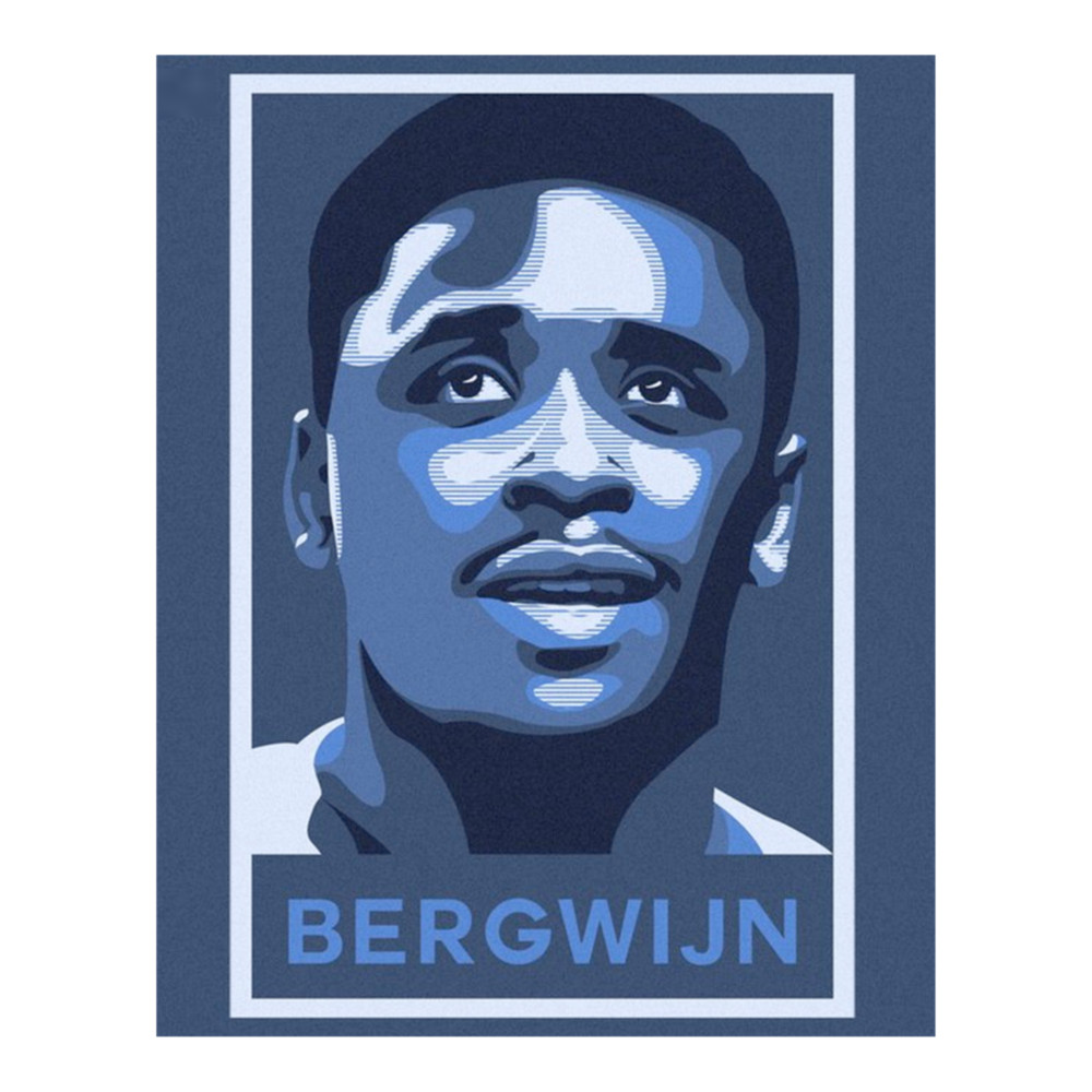 Steven Bergwijn Tottenham htspur .png
