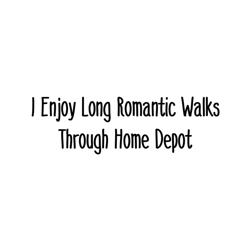 i enjoy long romantic walks through home depot (2).png