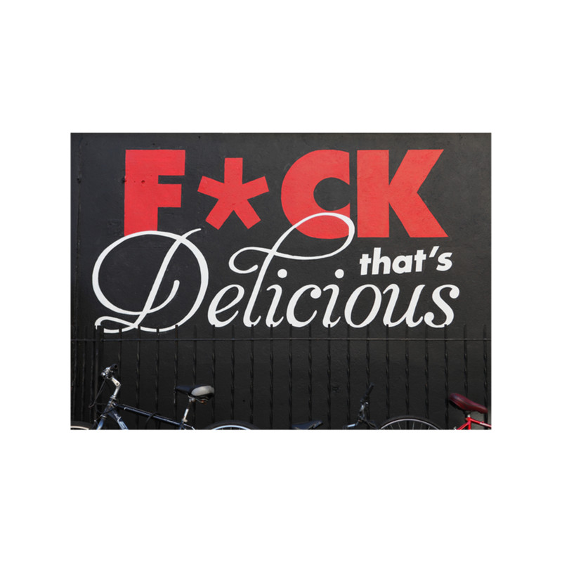 Action Bronson Vice Mural in Williamsburg Premium .png