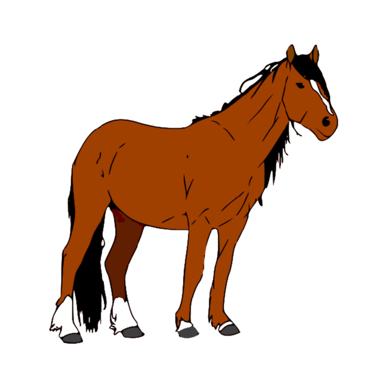 California Chrome Horse .png