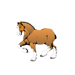 kentucky derby day