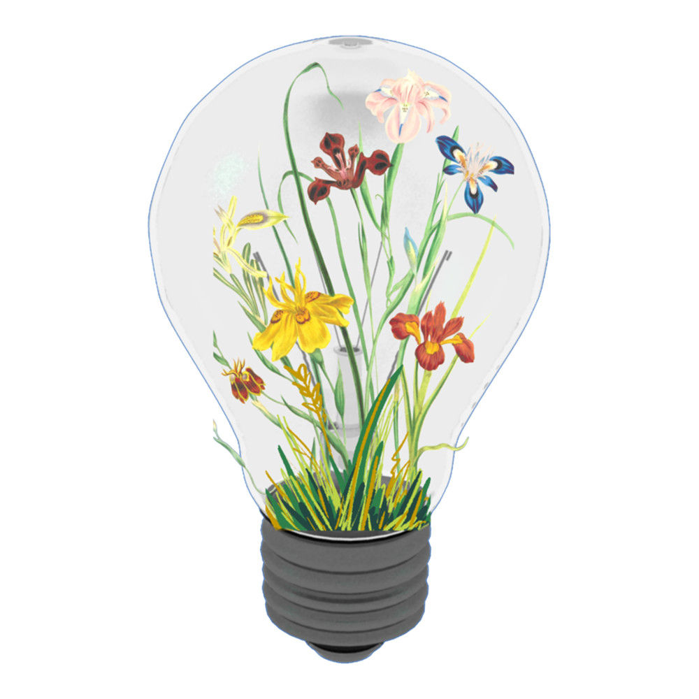 Light Bulb With Yellow Flowers .png