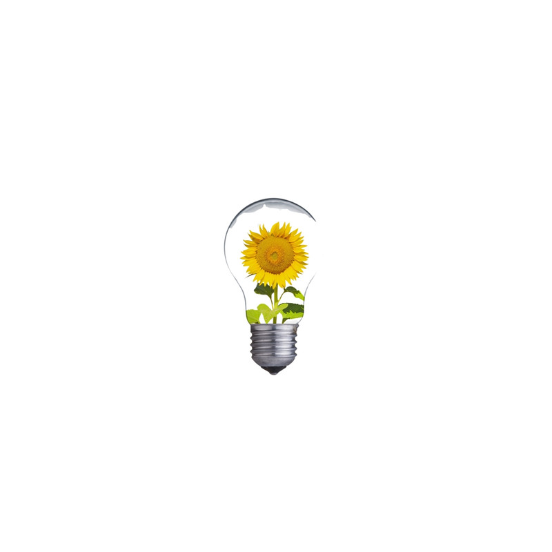 Light bulb with yellow flowers magnet Sleeveless Top .png