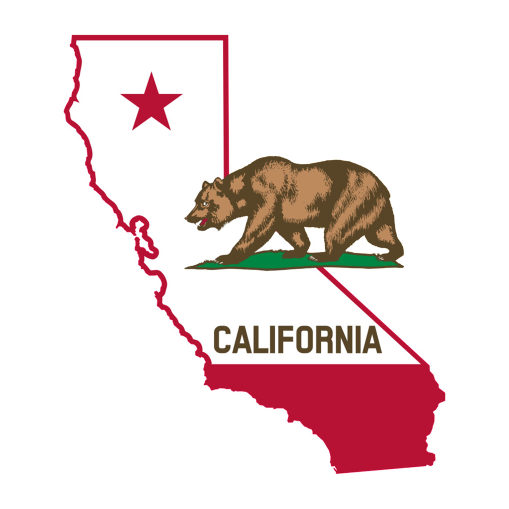 The Bear State  .png