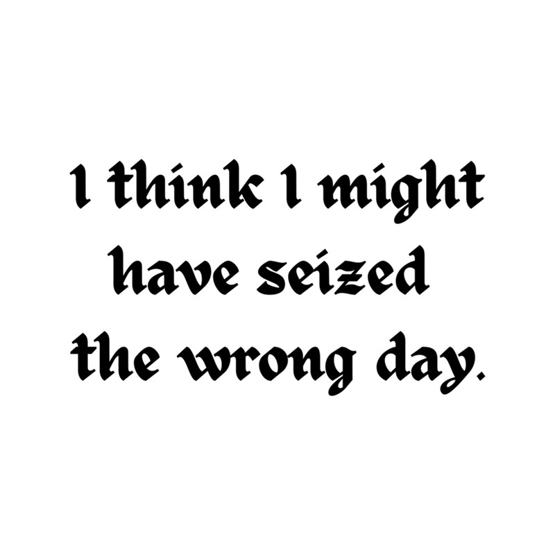 I think I might have seized the wrong day (4).png