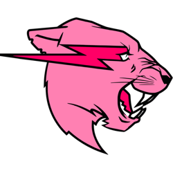 mr gaming beast  beast  youtuber