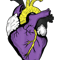 Non Binary Anatomy Heart LGBTQ Month Gay Rights Pride Week .png