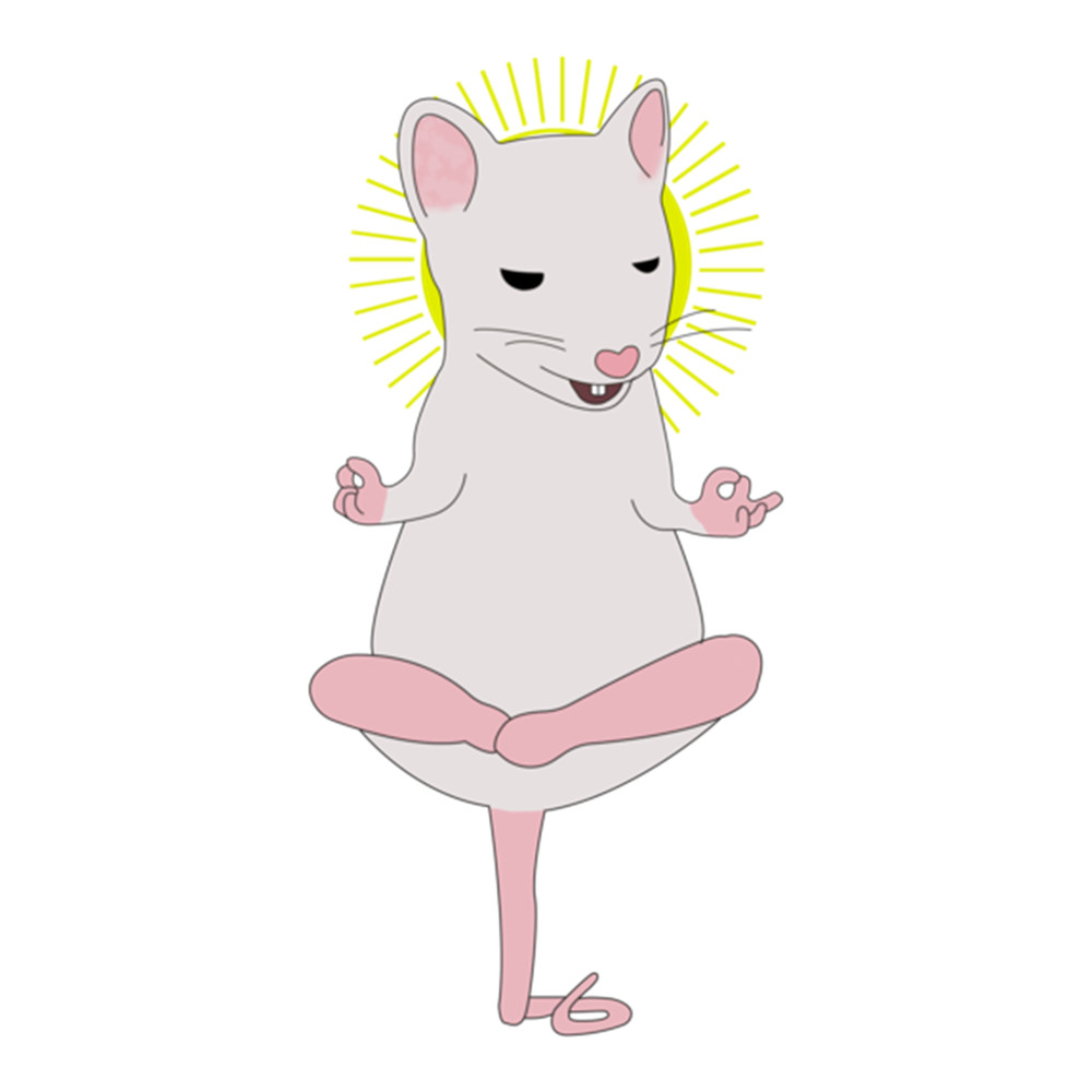meditating rat .png