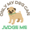 Funny Only Dogs Can Judge Me Graphic apparel and accessories gifts .png