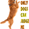 Only Dogs Can Judge Me .png