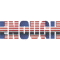 Enough - Walkout Protest American Flag .png