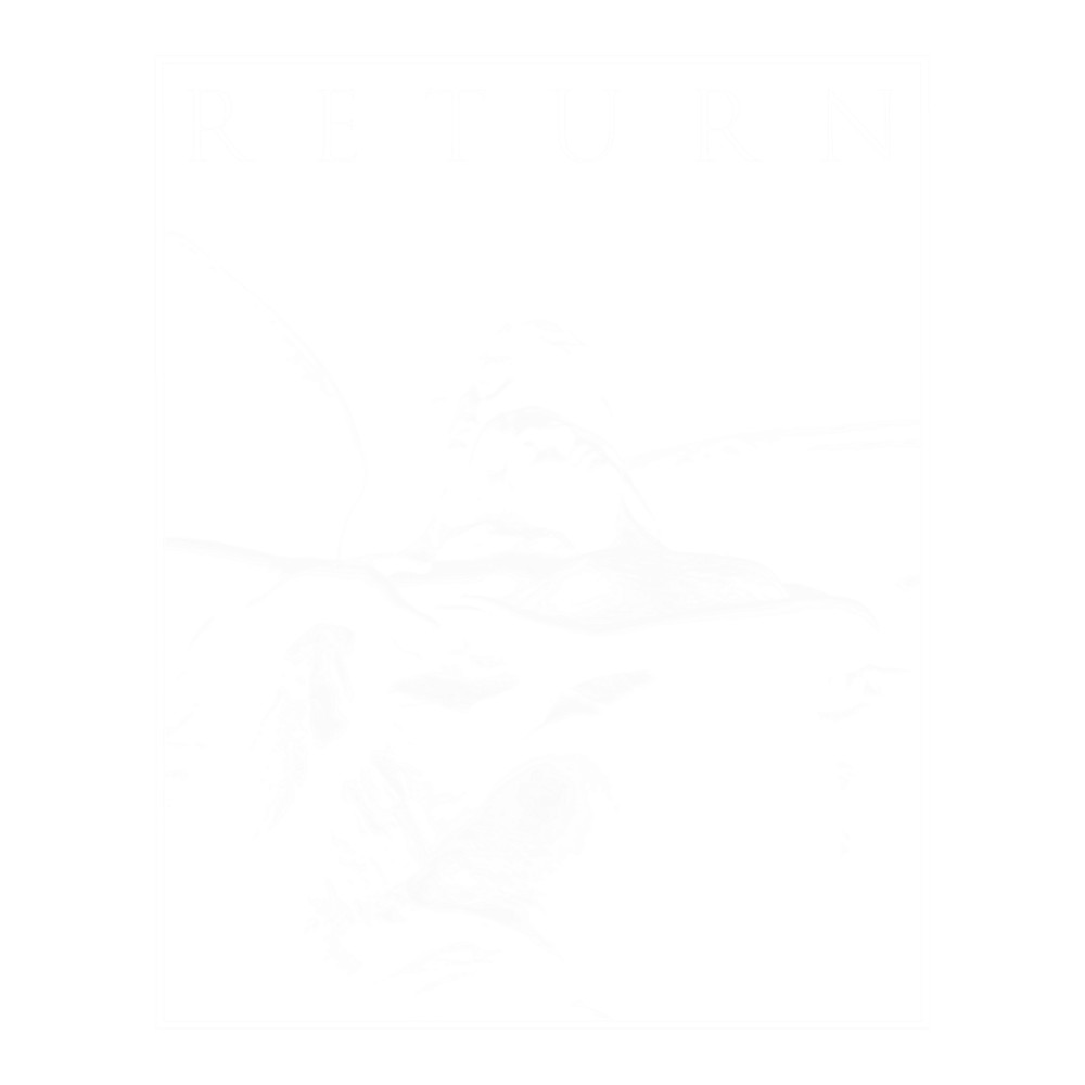 return punk rock .png