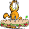 Skater Garfield .png