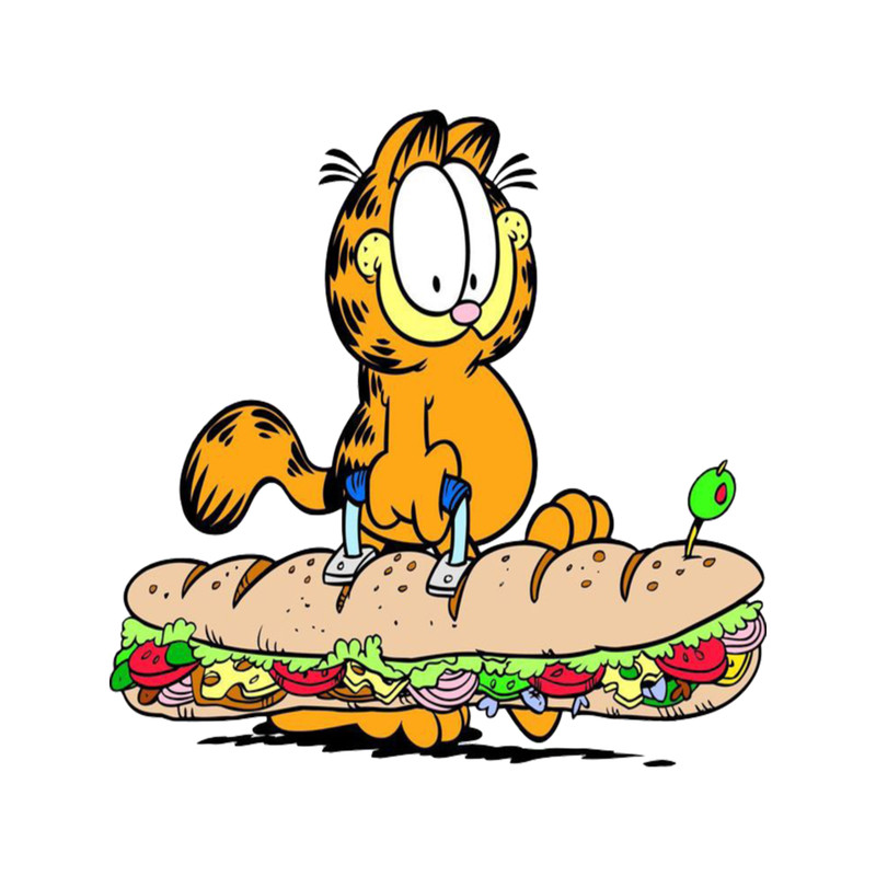 Skater Garfield .png
